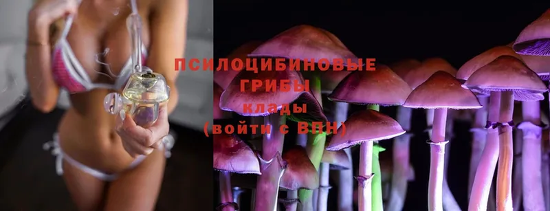 omg как войти  это как зайти  Галлюциногенные грибы Cubensis  Кашин 